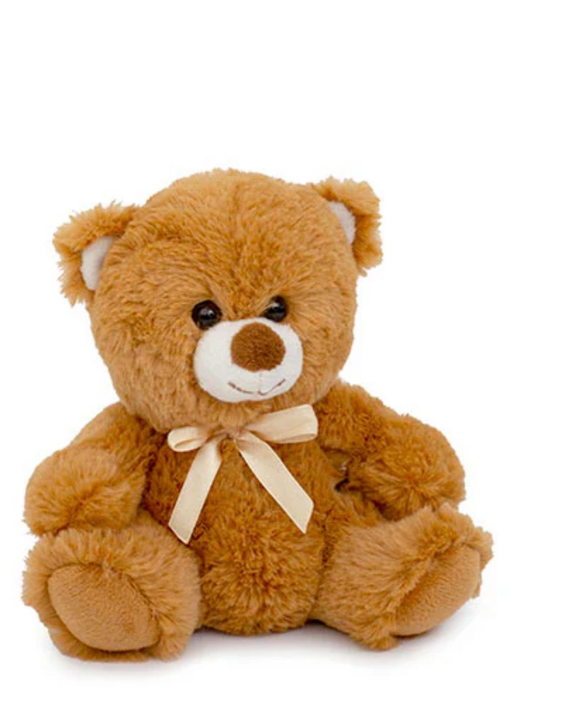 Personalized Teddy